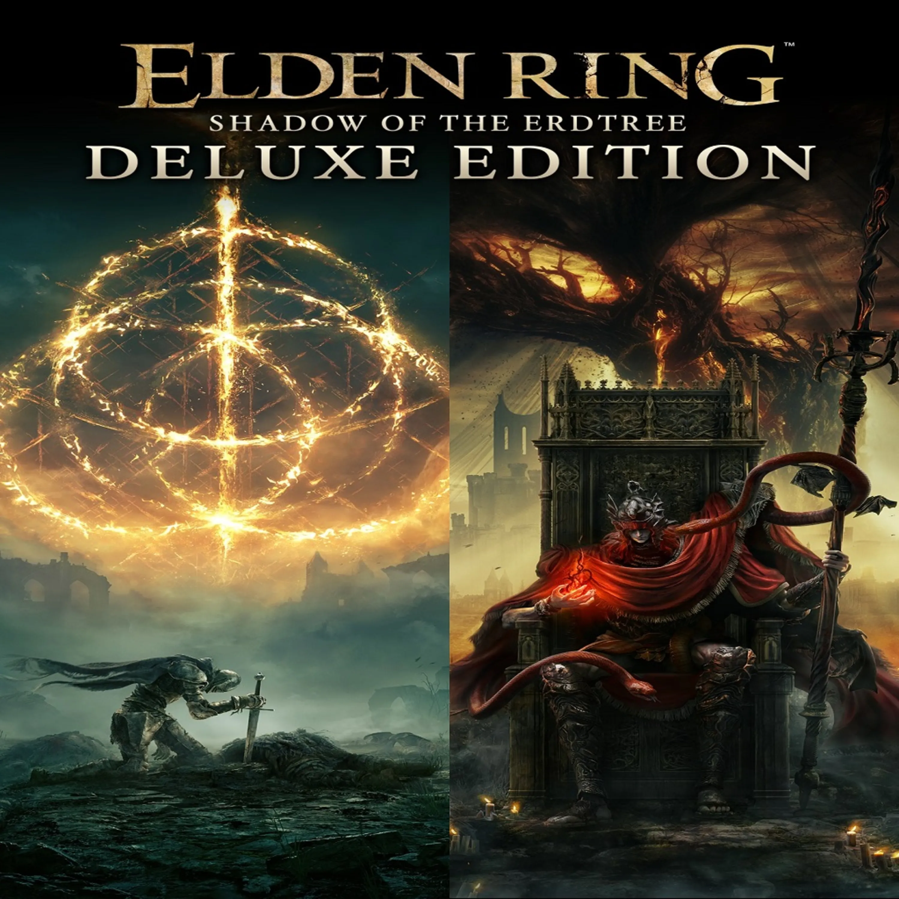 اکانت قانونی Elden Ring Shadow of the Erdtree برای PS5 & PS4